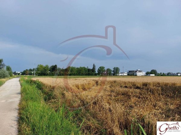 terreno agricolo in vendita a Cento in zona Renazzo