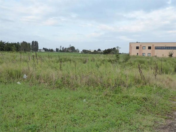 terreno agricolo in vendita a Cento