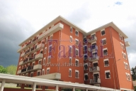 immagine annuncio 0 di 8