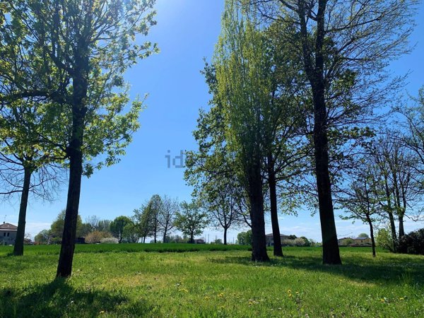 immagine annuncio 0 di 1