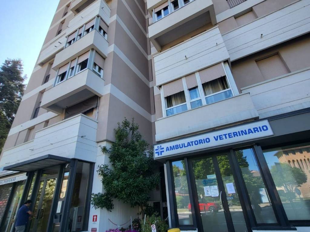 appartamento in vendita a Cento