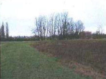 terreno edificabile in vendita a Cento