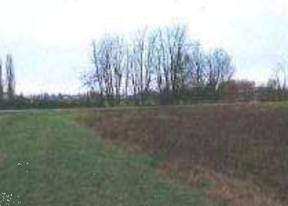 terreno agricolo in vendita a Cento