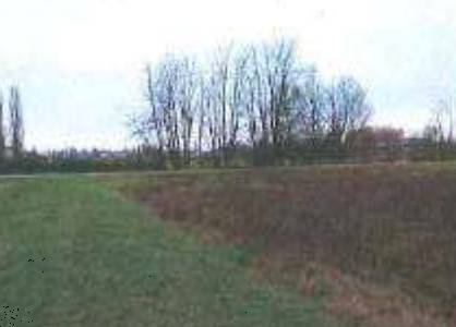 terreno agricolo in vendita a Cento