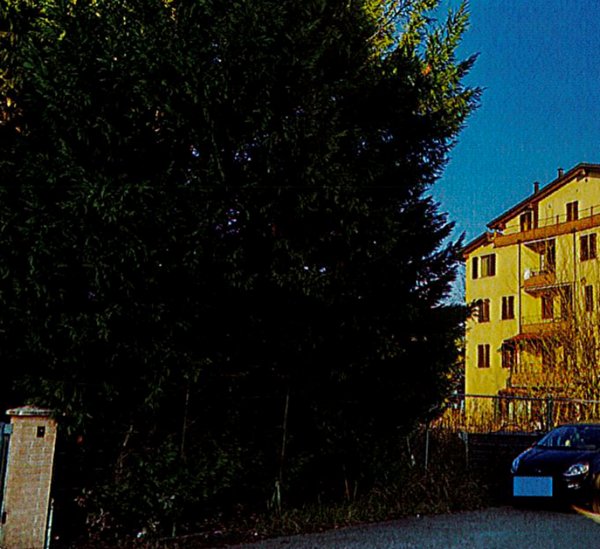 terreno agricolo in vendita a Cento