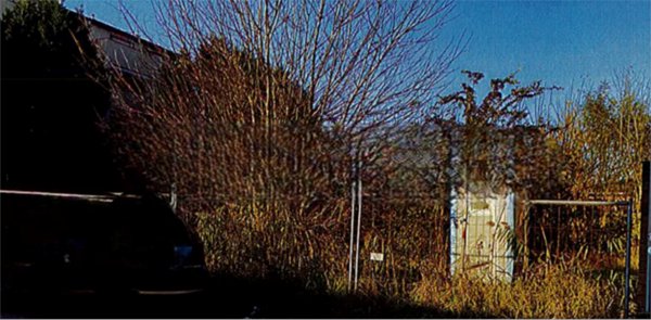 immagine annuncio 0 di 10