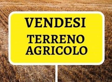 terreno agricolo in vendita a Cento in zona Casumaro