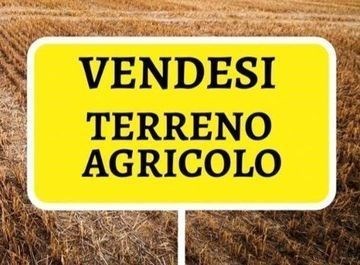 terreno agricolo in vendita a Cento in zona Casumaro