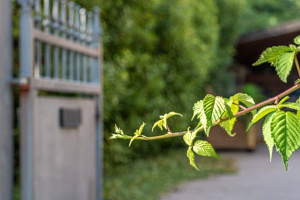 casa indipendente in vendita a Cento in zona Buonacompra