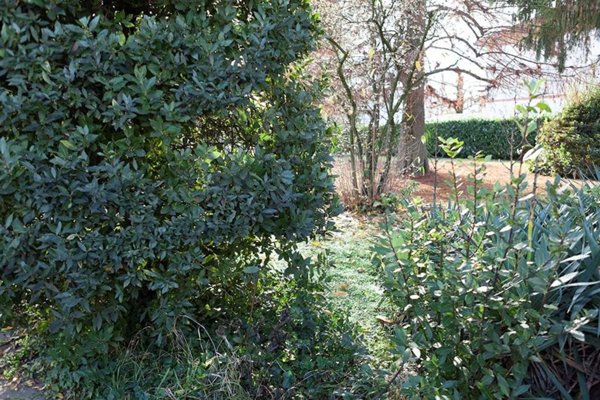 appartamento in vendita a Cento