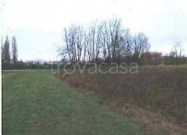 ufficio in vendita a Cento