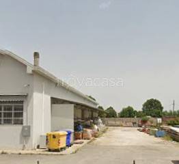 terreno edificabile in vendita a Cento