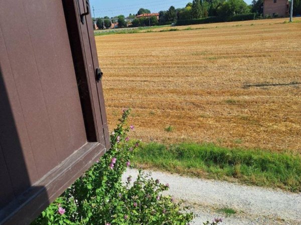 casa indipendente in vendita a Cento in zona Renazzo