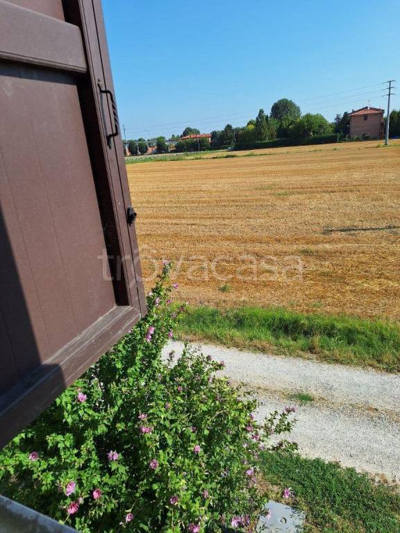 casa indipendente in vendita a Cento in zona XII Morelli
