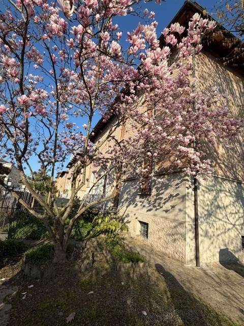 casa indipendente in vendita a Cento