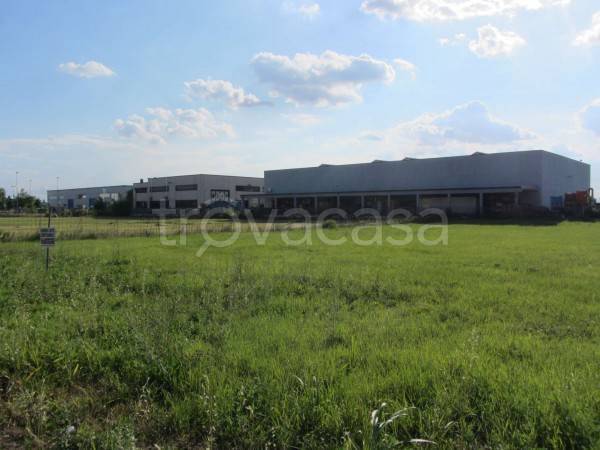 terreno edificabile in vendita a Cento in zona Renazzo