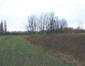 terreno edificabile in vendita a Cento
