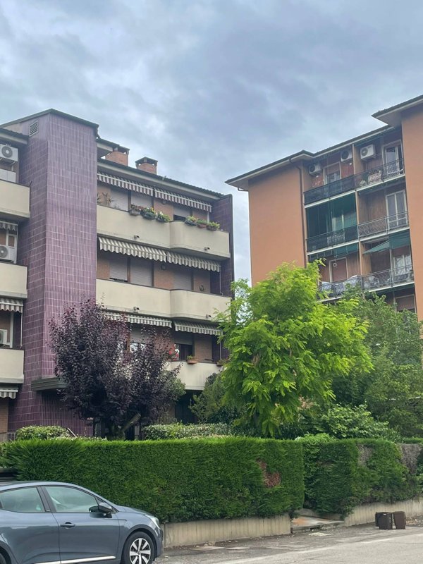 box auto in vendita a Cento