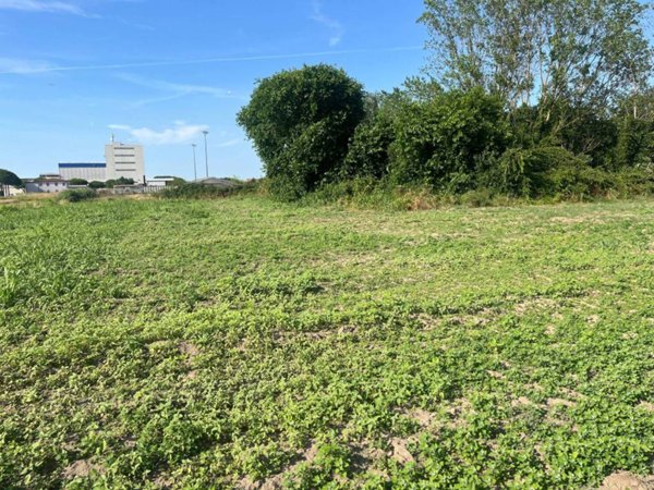 terreno agricolo in vendita a Codigoro in zona Pontemaodino