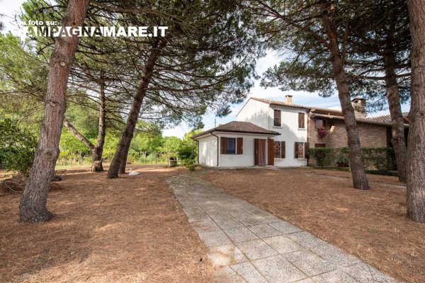 casa indipendente in vendita a Codigoro in zona Pontemaodino