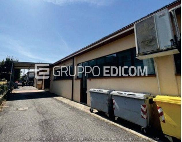 negozio in vendita a Codigoro