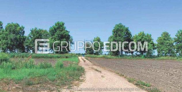 locale di sgombero in vendita a Codigoro