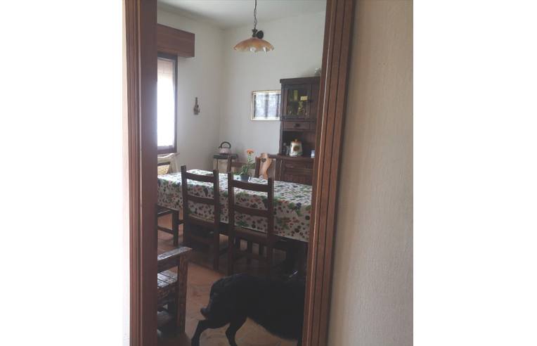 casa indipendente in vendita a Codigoro in zona Mezzogoro