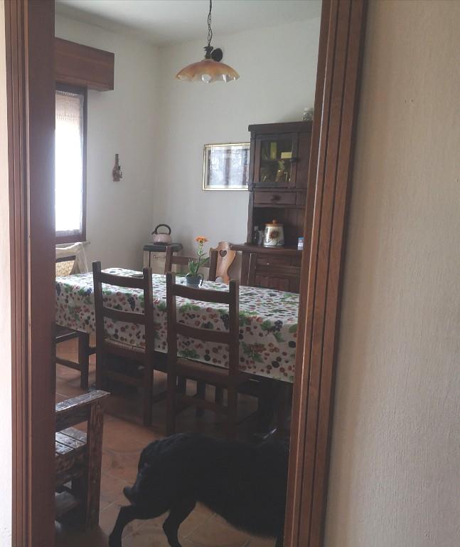 casa indipendente in vendita a Codigoro in zona Mezzogoro