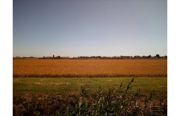 casa indipendente in vendita a Codigoro in zona Mezzogoro