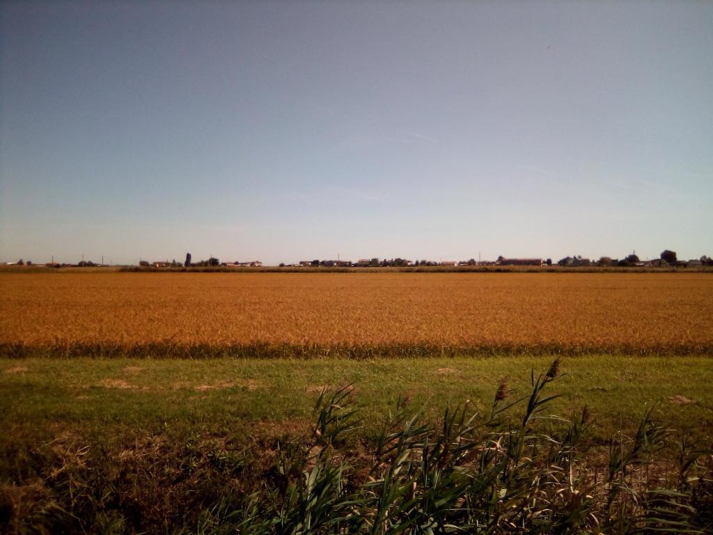 casa indipendente in vendita a Codigoro in zona Mezzogoro