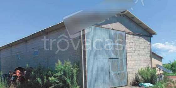 terreno agricolo in vendita a Codigoro