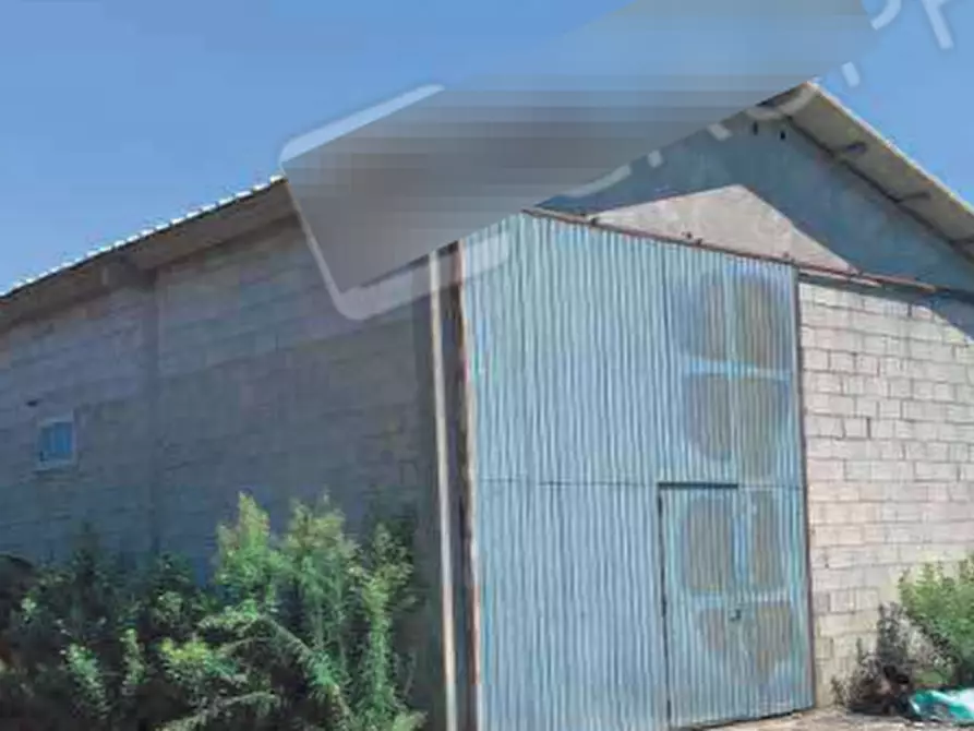 terreno agricolo in vendita a Codigoro