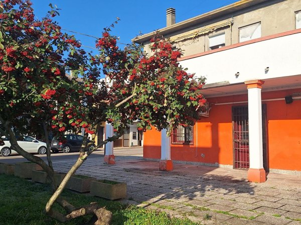 casa indipendente in vendita a Codigoro