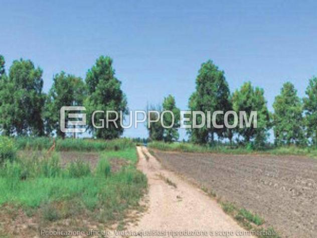 locale di sgombero in vendita a Codigoro