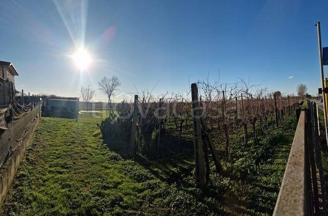 terreno agricolo in vendita a Comacchio in zona Lido delle Nazioni