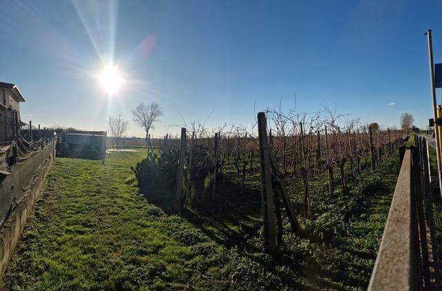 terreno agricolo in vendita a Comacchio in zona Lido delle Nazioni