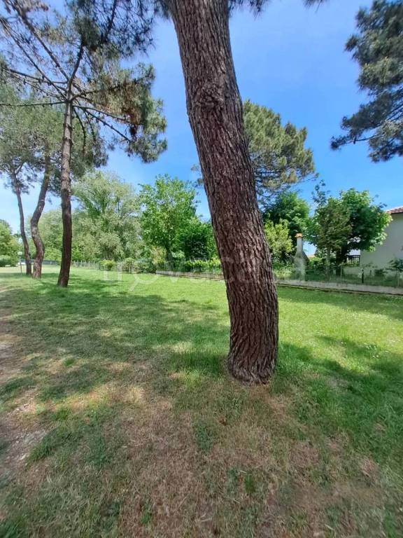 appartamento in vendita a Comacchio