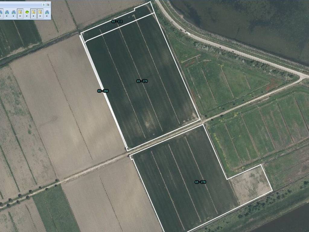 terreno agricolo in vendita a Comacchio