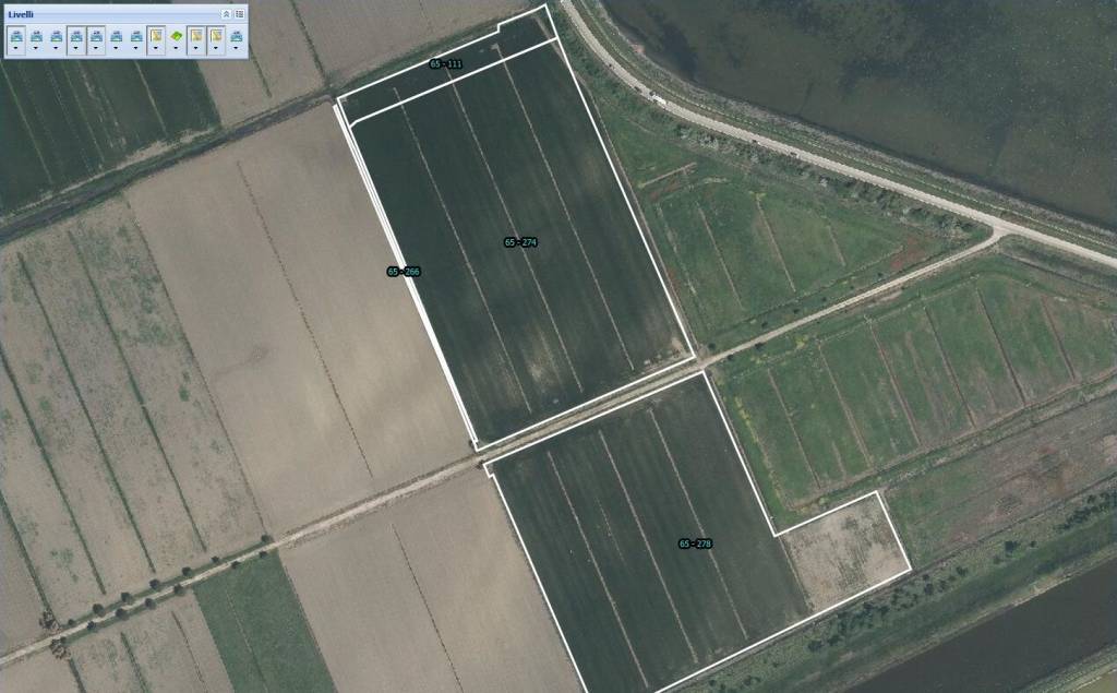 terreno agricolo in vendita a Comacchio