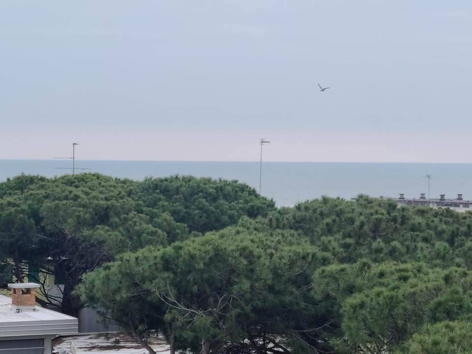 appartamento in vendita a Comacchio in zona Lido degli Estensi