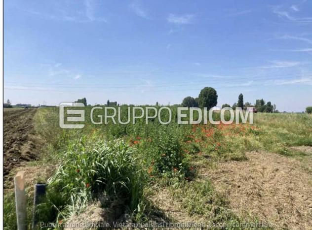terreno agricolo in vendita a Comacchio in zona Volania