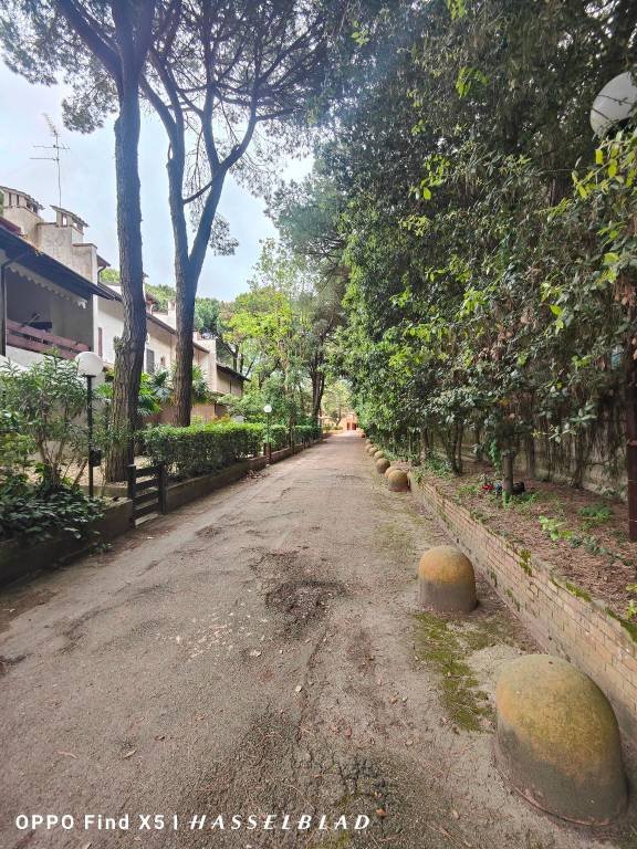 appartamento in vendita a Comacchio in zona Lido di Spina