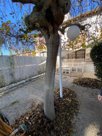 appartamento in vendita a Comacchio in zona Lido degli Estensi