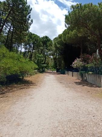 casa indipendente in vendita a Comacchio in zona Lido di Spina