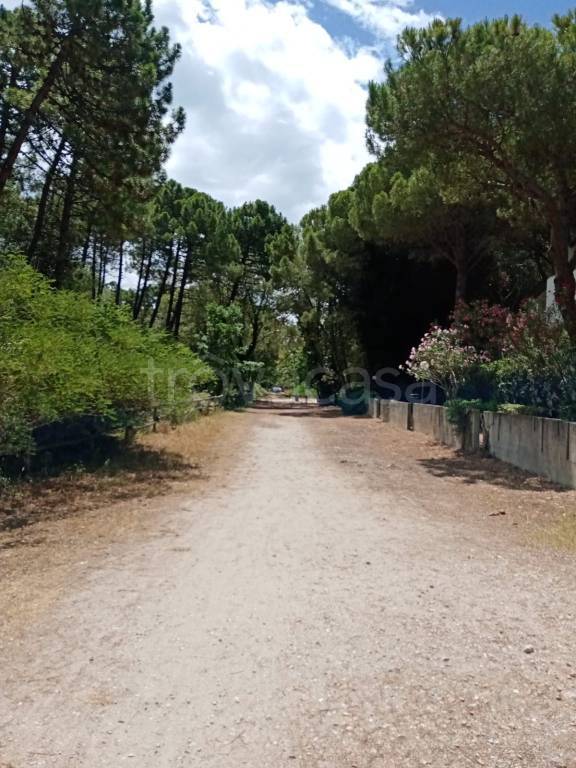 casa indipendente in vendita a Comacchio in zona Lido di Spina