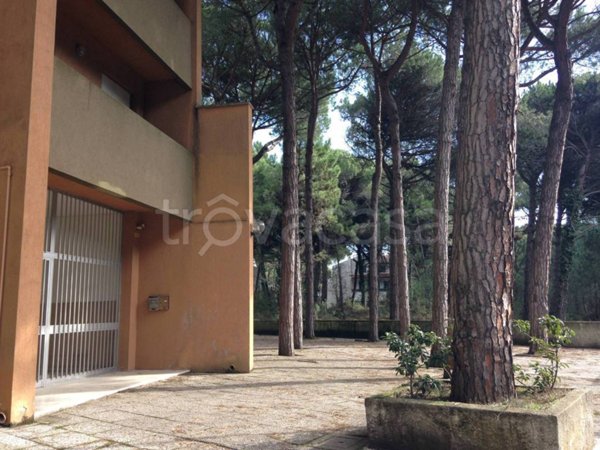 appartamento in vendita a Comacchio in zona Lido di Spina