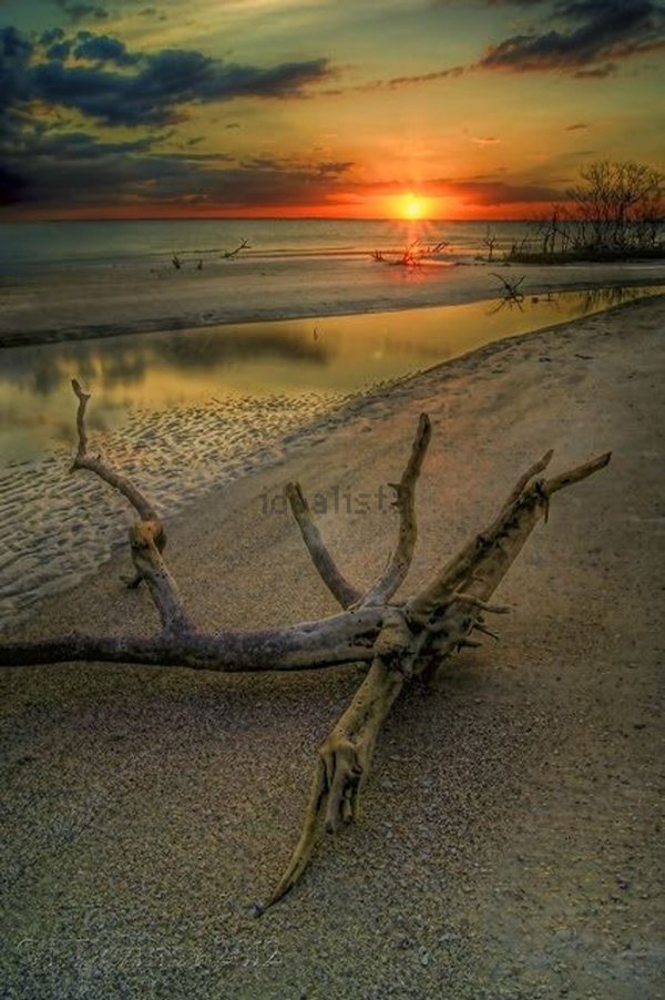 appartamento in vendita a Comacchio in zona Lido delle Nazioni