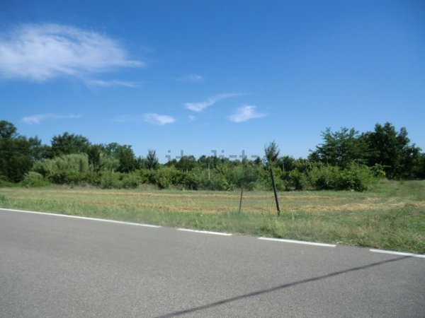 negozio in vendita a Comacchio in zona Lido di Pomposa