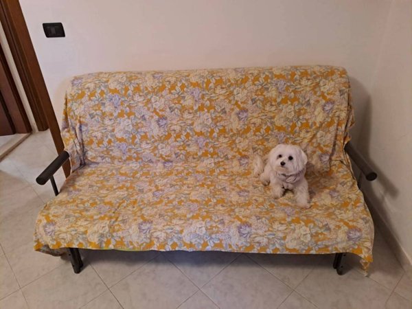 appartamento in vendita a Comacchio in zona Lido degli Estensi