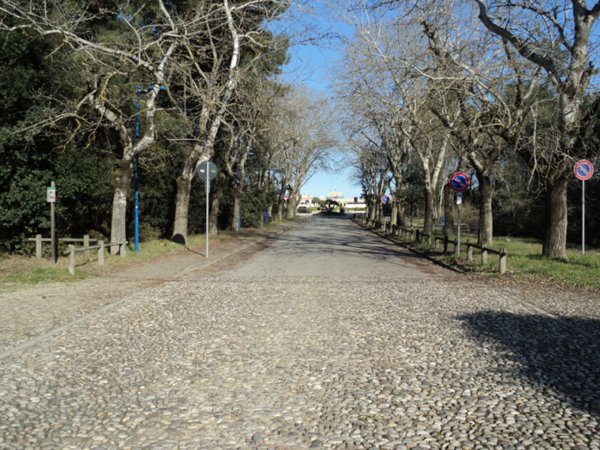 appartamento in vendita a Comacchio in zona Lido di Spina